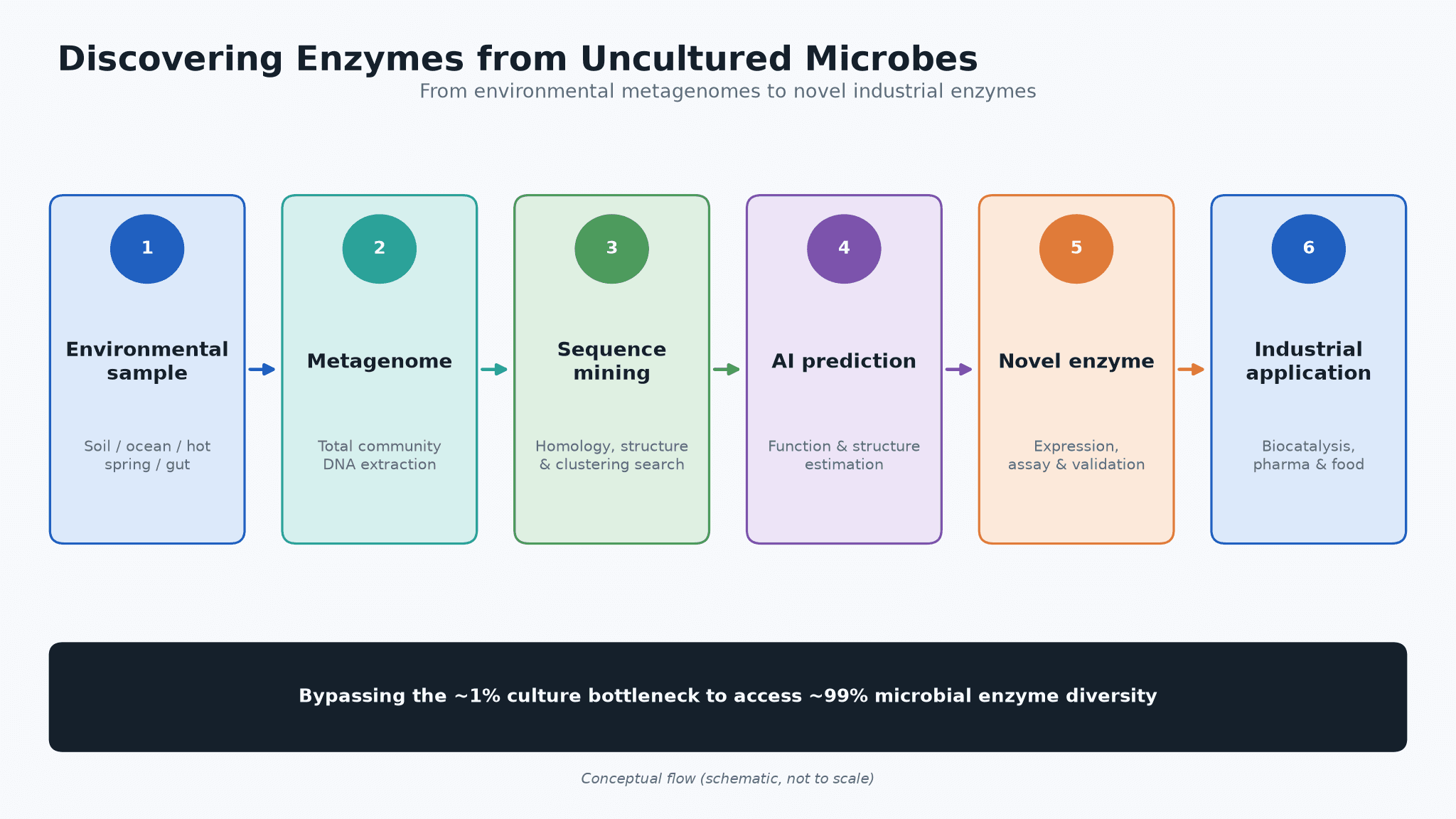 Uncultured Microbial Enzyme Discovery: Unlocking the Hidden Enzyme Library