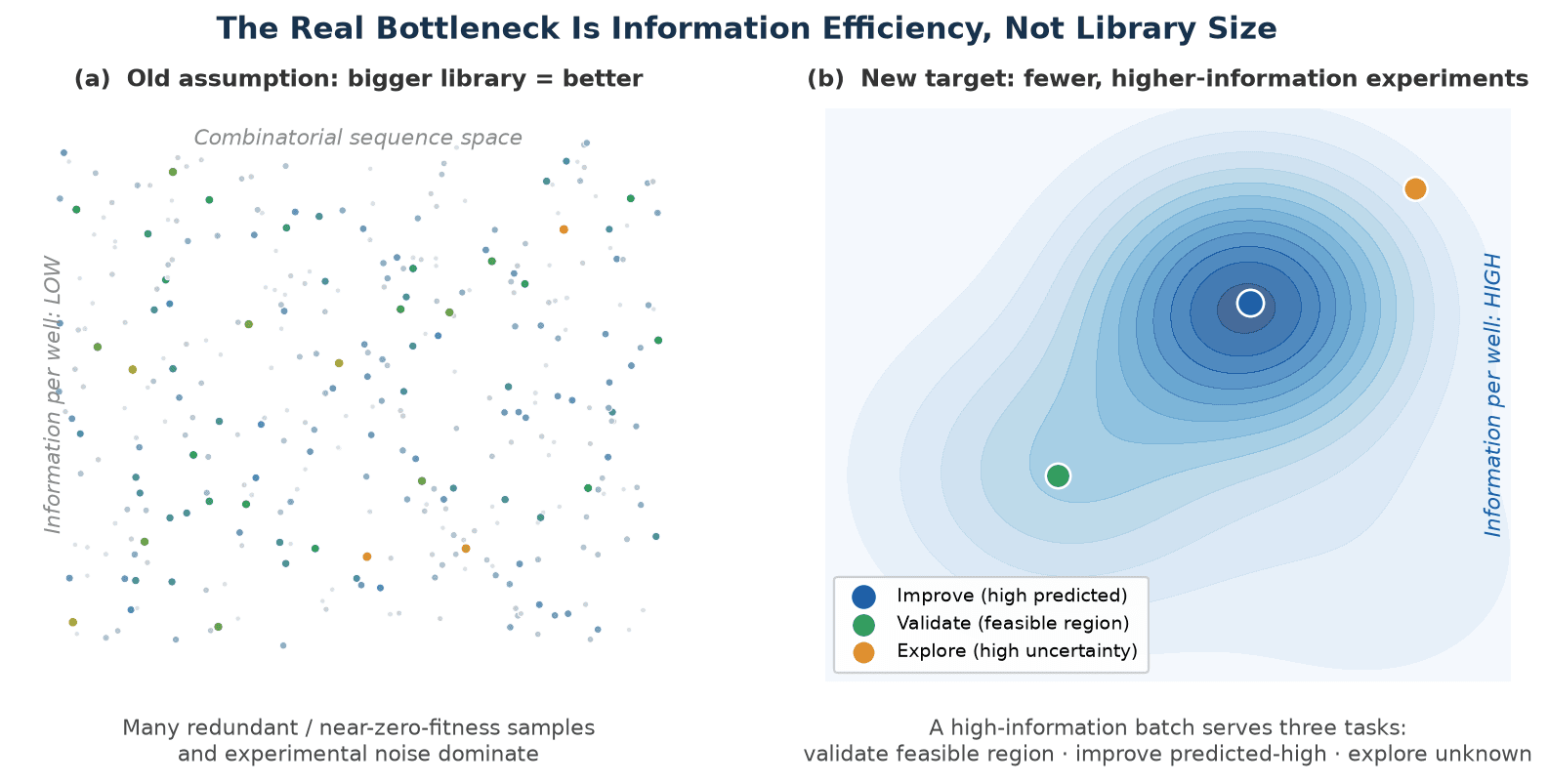 How to Run Directed Evolution Under Low-Throughput Conditions: Make Every Experiment Count